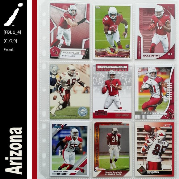 NFL Other - Arizona Cardinals 9 Player Card Lot [FBL1_4]